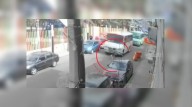 Camión de transporte público atropella y mata a 'Dogo', perro husky, en la GAM