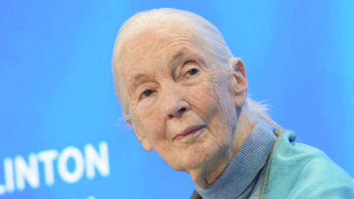 Jane Goodall dies aged 91