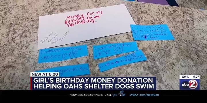Girl’s birthday money donation helping Oshkosh Area Humane Society dogs swim
