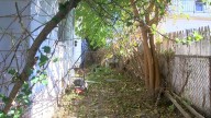 East Toledo property sees partial cleanup after complaints from neighbors