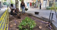 La revuelta de los parterres: vecinos de Consell de Cent replantan espacios abandonados por el Ayuntamiento