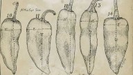 ﻿Fabián García: Father of the New Mexican food industry
