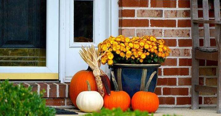 Gardening expert warns against common pumpkin mistake that could cause harm
