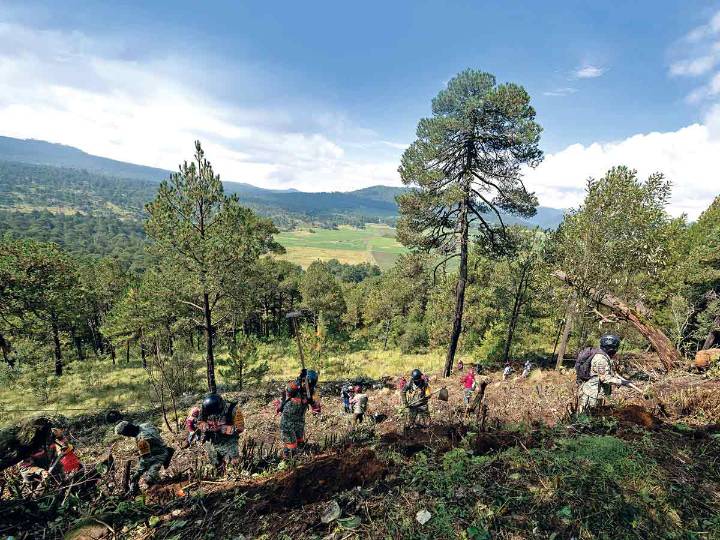 Proyecto de seguridad en la CDMX: módulos de vigilancia y cámaras, en el Ajusco