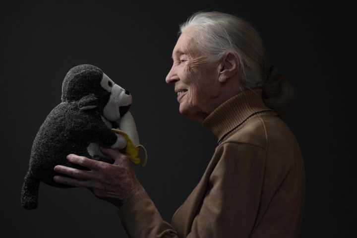 Jane Goodall, Renowned Conservationist And Animal Rights Campaigner, Dies at 91