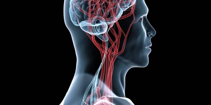 Día Mundial de Prevención del ACV: quiénes tienen más riesgo de tener un accidente cerebrovascular