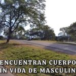 Hallan un cuerpo en cercanías de la Ruta...