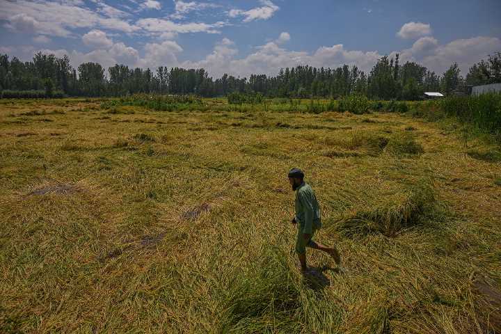 Centre Transfers Rs 171 Cr To 8.5 Lakh J&K Farmers