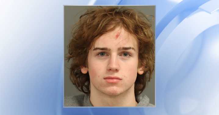 Holly Springs police identify teen charged with DWI in connection to crash killing a teen bicyclist :: WRAL.com
