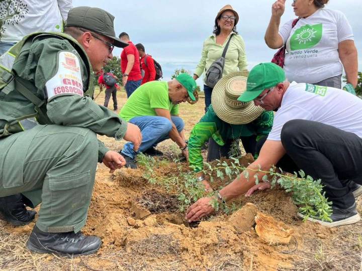 Reforestaron 5.000 hectáreas del Zulia con especies autóctonas