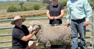 Fosterfield Fine Wools ram sale tops at $2700, increased average