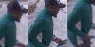 Savannah Police looking for man who allegedly stole a family’s cat from their front yard