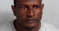 Epping sex offender asylum seeker fugitive arrested after three days at large