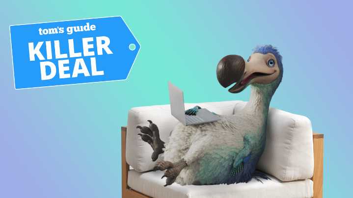 Dodo's just hatched a ripper deal on its NBN 500 plan — now the cheapest of the lot at just AU$63p/m