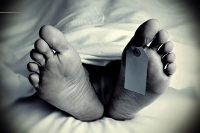 Tragedy in Balanagar: Woman Ends Life After Killing Her Twin Children