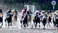 INH: Resultados del Hipódromo La Rinconada, domingo 19