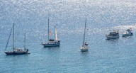 Global Sumud Flotilla asegura que 30 de sus barcos están a 46 millas náuticas de Gaza | Palestina | Israel | Franja de Gaza | Benjamin Netanyahu | Alma | Adara | Sirius | Greta Thunberg | Últimas | MU
