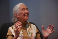 Conservationist Jane Goodall, renowned for chimpanzee research, dies at 91