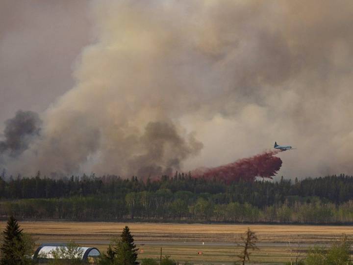 Northern MLA says forestry industry profits "up in smoke"