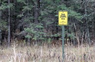 Auditor says Minnesota DNR erred in planning, documenting logging of wildlife areas