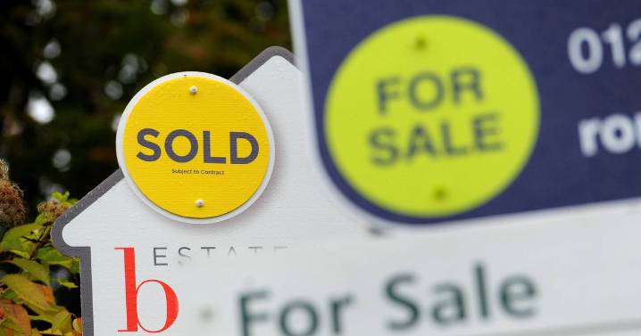Labour warned Capital Gains Tax reforms could seriously damage housing market