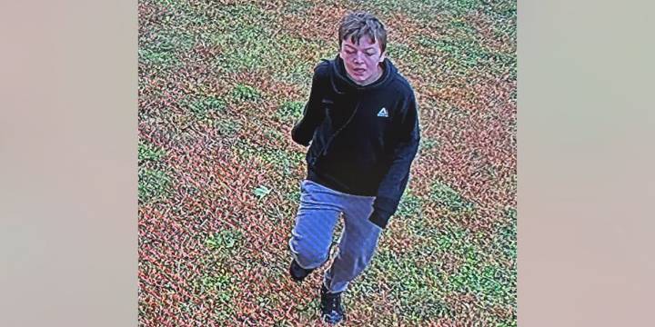 Janesville Police searching for missing 12