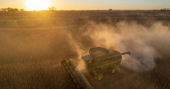 American farmers welcome China's promise to buy soybeans, but the deal doesn't solve everything