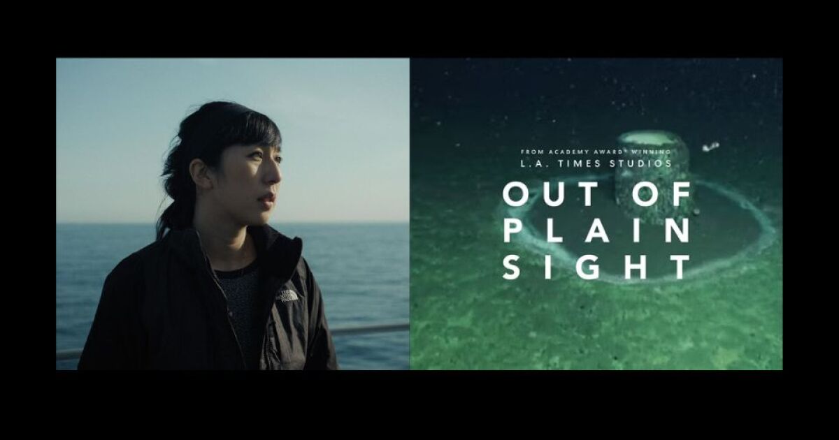 'Out of Plain Sight' documentary exposes DDT’s toxic legacy