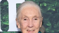 Dr. Jane Goodall Dead at 91