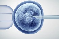 Científicos crean óvulos humanos a partir de células de la piel