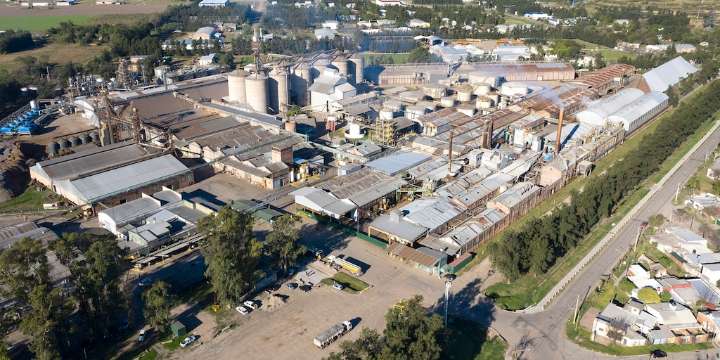 Vicentin: los grupos que pujan por la cerealera aseguran que consiguieron las mayorías requeridas para quedarse con la empresa