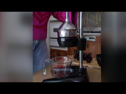 Exploring TikTok's latest health trends