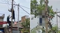 Worker Gets Electric Shock During Pole Shifting In Jabalpur; Hangs From Wires For 10 Minutes
