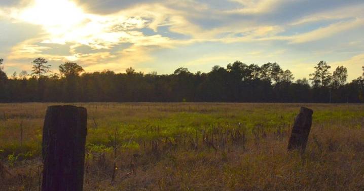 Bingham’s Light: Ghost story or swamp gas?