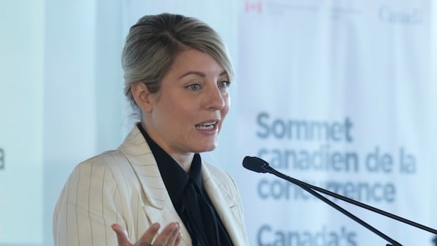 Government will be 'hawkish' on competition to restore affordability, industry minister says