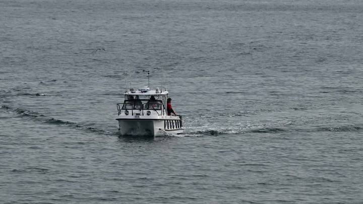 Police, lifesavers and coast guard searching for man in his 20s missing after boat capsize near Mornington Pier, Victoria