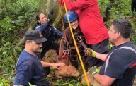 Cayó a un pozo de 17 metros intentando rescatar a un perro: ambos fueron salvados por Bomberos