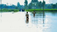 Punjab's Fields Under Water, India's Food Security At Risk