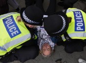 Police arrest more than 440 people over Palestine Action support