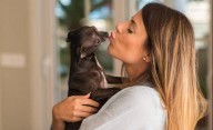 Por qué no hay que besar a los perros en la boca: preocupa el avance de la hidatidosis, una enfermedad que puede ser grave