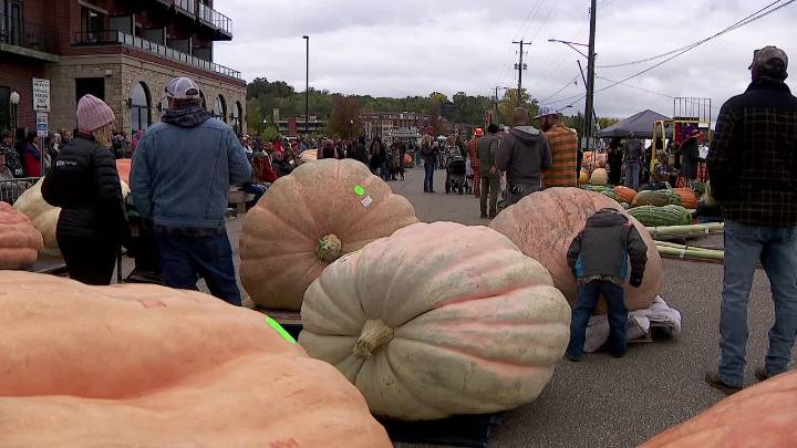 Things to do in Minnesota: 5 things to do this weekend (Oct. 10