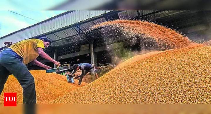 Govt hikes MSP for six rabi crops: Wheat to see most gain; mustard to see 93% rise