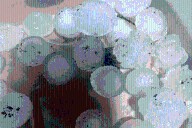 Fuertes lluvias y granizo de gran tamaño afectaron el sur cordobés