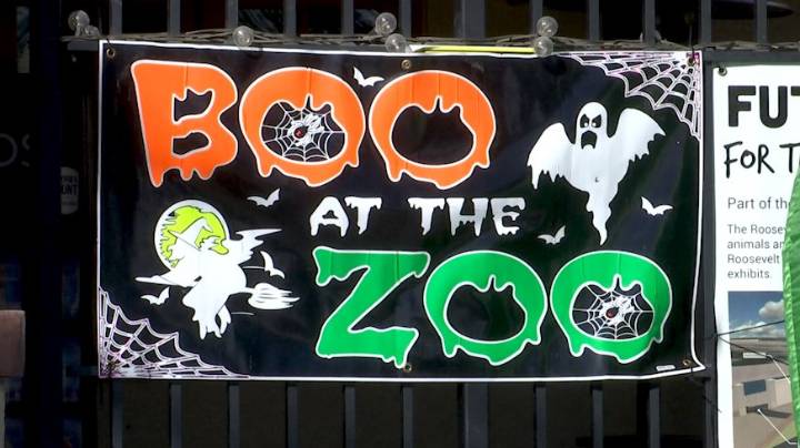 Roosevelt Park Zoo embraces the spooky season, hosts annual Boo at the Zoo event
