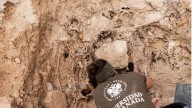Programa especial de 'La noche en 24h' por el 25 aniversario de la primera exhumación científica de una fosa en España