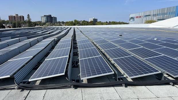Sunny days ahead for Ottawa solar projects as 4 get council's go