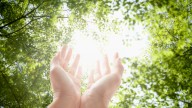 Ecoterapia: el poder curativo de la Naturaleza