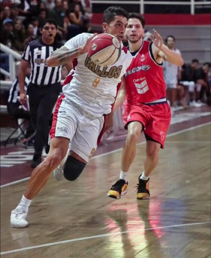 Los Gallos avanzan a playoffs de Cibapac