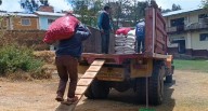 Detectan fertilizantes de mala calidad en proyecto de papa nativa en Huamalíes