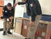 Aseguran avestruces en aeropuerto de Reynosa